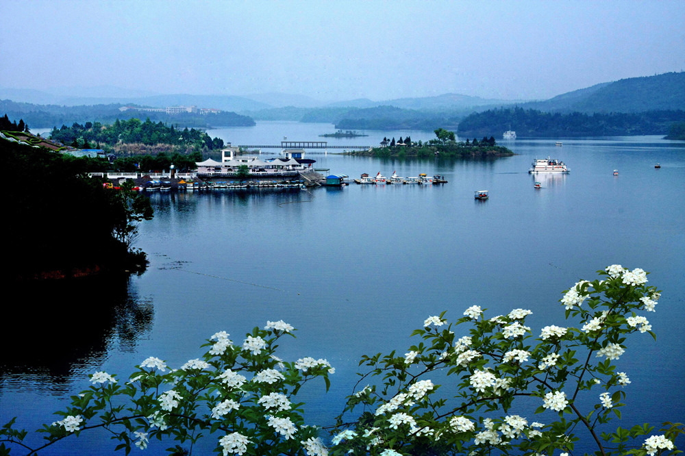 1628232195255242.jpg 綿陽.jpg