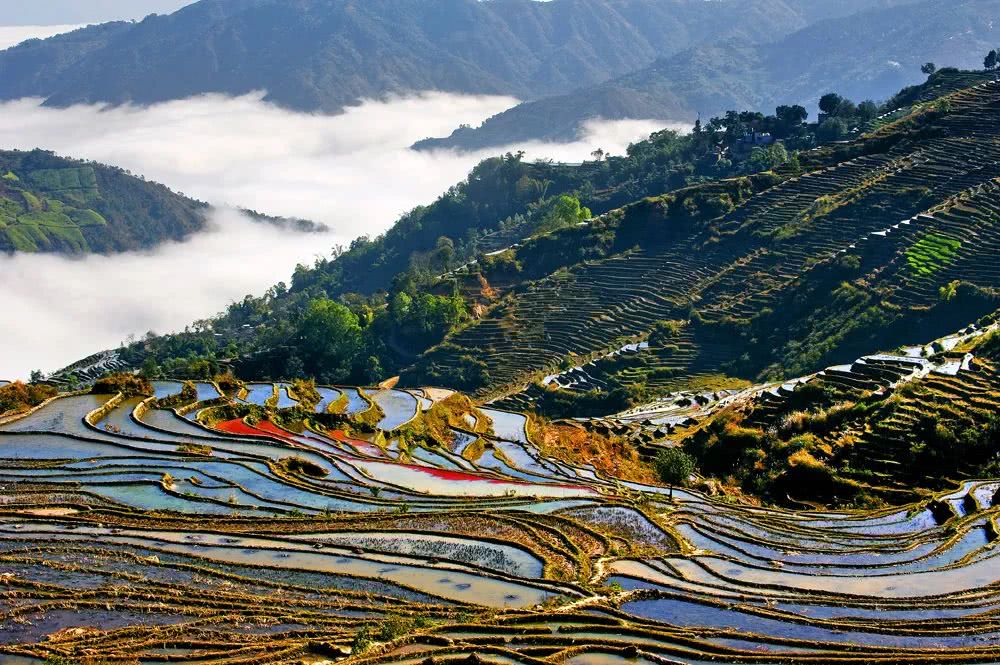 1629255476533206.jpg 玉溪.jpg