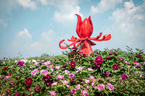 1676620328421824.jpg 菏澤.jpg